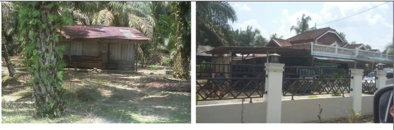 Gambar 4. Kondisi Rumah Asli dan Rumah Setelah Renovasi di KP-4 Kebun  Plasma PIR-Trans wilayah kerja KUD Bukit Jaya 