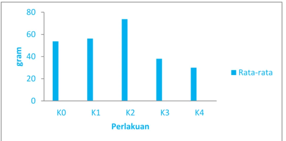 Gambar 4.  Grafik Rerata Diameter Tudung Buah Jamur Merang  Pada Media Campuran Daun Pisang Kering dan Sabut 