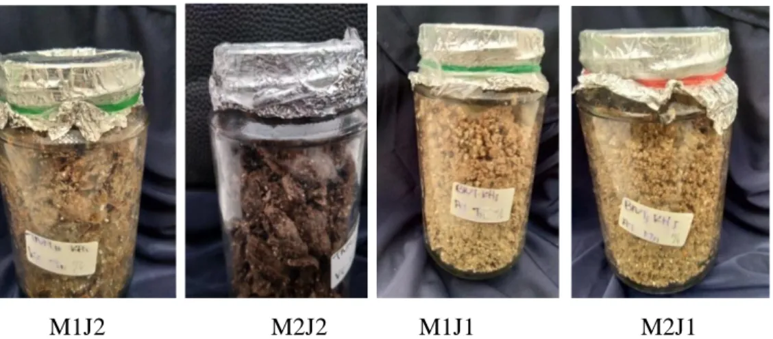 Gambar 4.2  hasil pertumbuhan miselium bibit F2 jamur tiram dan jamur merang pada  hari ke 14 