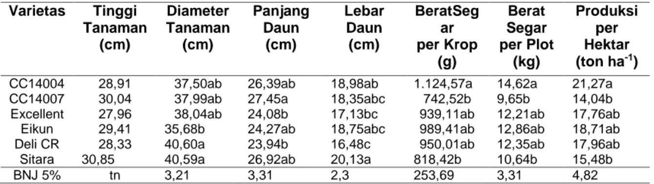Tabel 1. Nilai Rata-rata Kuantitatif  Varietas  Tinggi  Tanaman  (cm)  Diameter  Tanaman (cm)  Panjang Daun (cm)  Lebar Daun (cm)  BeratSegar  per Krop  (g)  Berat  Segar  per Plot (kg)  Produksi per Hektar (ton ha-1)  CC14004  28,91  37,50ab  26,39ab  18,