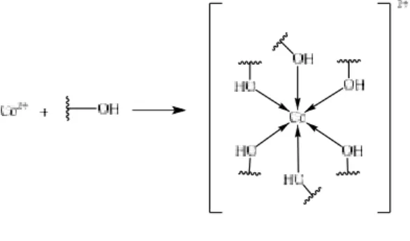 Gambar 3.  Reaksi  antara  ion  Co 2+ dan gugus hidroksil