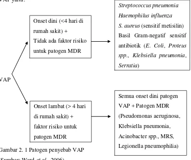 Tabel 2. 4 Isolasi Patogen pada Ventilator Associated Pneumonia 