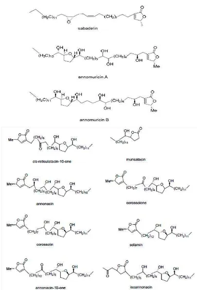 Gambar 2.3 Struktur Berbagai Jenis Asetogenin [15] 