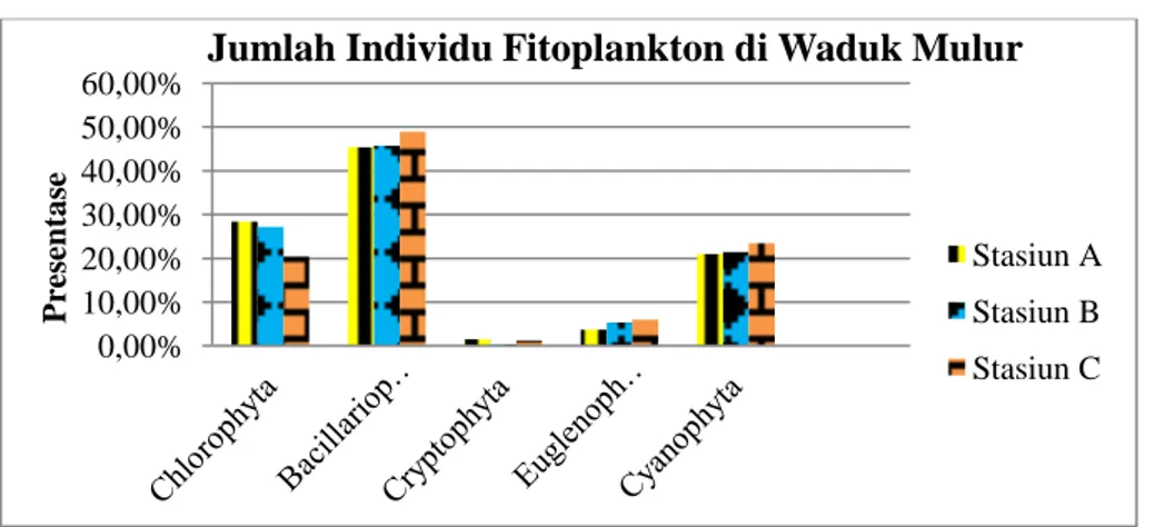 Gambar 4.  Presentase Jumlah individu Fitoplankton di Waduk Mulur  Sukoharjo. 