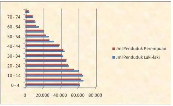 Grafik Penduduk Kabupaten Pandeglang Menurut Jenis Kelamin dan Kelompok Umur Tahun 2009  