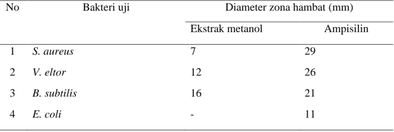 Tabel 2. Hasil uji aktivitas antibakeri  ekstrak metanol teripang S. Hermanii. 