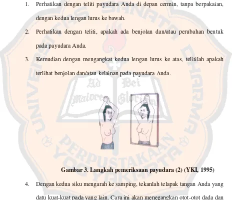 Gambar 3. Langkah pemeriksaan payudara (2) (YKI, 1995) 