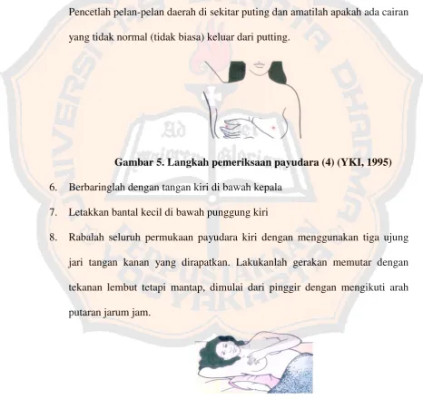 Gambar 5. Langkah pemeriksaan payudara (4) (YKI, 1995) 