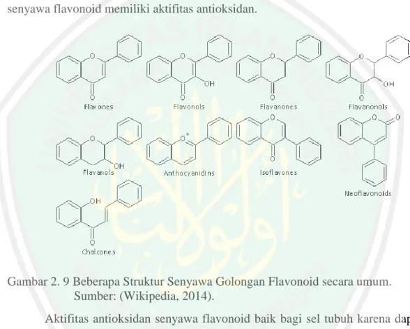Gambar 2. 9 Beberapa Struktur Senyawa Golongan Flavonoid secara umum. 