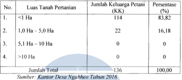 Tabel 4.8  Kepemilikan Tanah Pertanian oleh Keluarga Petani di  Desa  Ngabheo Kecamatan Soa Kabupaten Ngada 