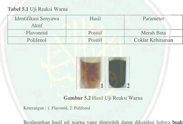 Tabel 5.1 Uji Reaksi Warna  Identifikasi Senyawa 