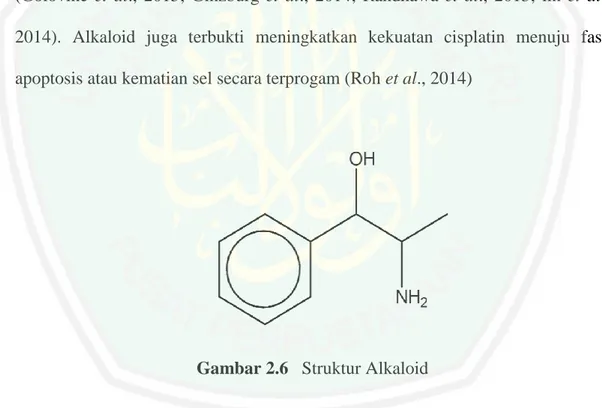 Gambar 2.6   Struktur Alkaloid 
