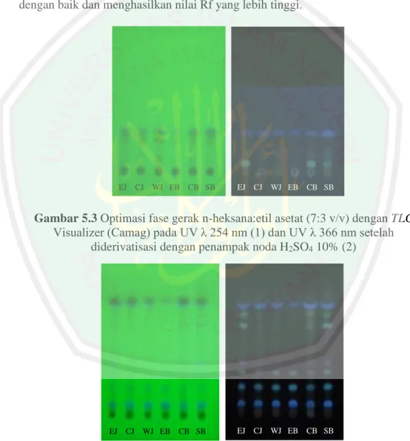 Gambar 5.3 Optimasi fase gerak n-heksana:etil asetat (7:3 v/v) dengan TLC  Visualizer (Camag) pada UV λ 254 nm (1) dan UV λ 366 nm setelah 