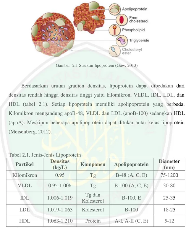 Tabel 2.1. Jenis-Jenis Lipoprotein  Partikel  Densitas 