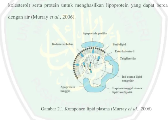 Gambar 2.1 Komponen lipid plasma (Murray  et al. , 2006) 