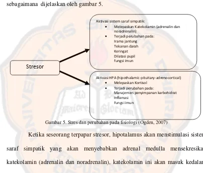 Gambar 5. Stres dan perubahan pada fisiologi (Ogden, 2007)