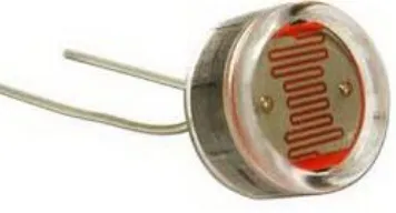 Gambar 2.12 LDR (Light Depending Resistor) 