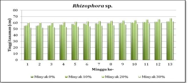 Gambar  2.  Pertambahan  tinggi  mangrove  Rhizophoramucronatayang  ditanam  pada  pot  dengan  media  lumpur ditambah minyak 0%, 10%, 20% dan 30%.