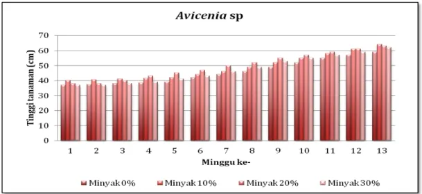 Gambar  5.  Pertambahan  tinggi    mangrove Avicenia  sp  yang  ditanam  pada  pot  dengan  media  lumpur  ditambah minyak 0%, 10%, 20% dan 30%.