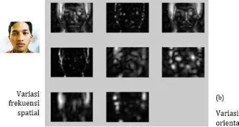 Gambar 4 (a) Citra wajah asli (b) Citra wajah hasil filter gabor 2x4 
