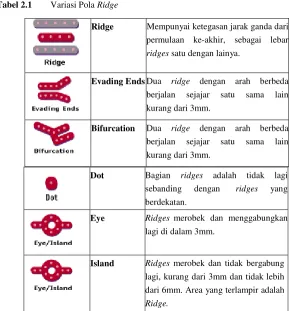 Tabel 2.1 Variasi Pola Ridge 