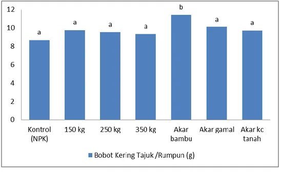 Gambar 5. Grafik Bobot Kering Tajuk