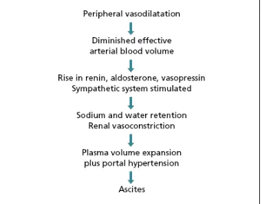 Gambar 2.1. The peripheral arterial vasodilatation hypothesis for ascites formation in cirrhosis Sumber : (gines, 2004) 