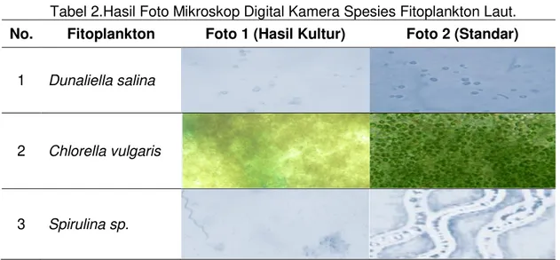 Tabel 2.Hasil Foto Mikroskop Digital Kamera Spesies Fitoplankton Laut. 