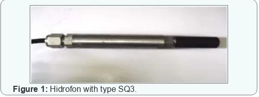 Figure 1: Hidrofon with type SQ3. 