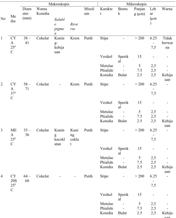 Tabel 2. Karakteristik makroskopis dan mikroskopis  isolat ESW-D4 No Me dia Makroskopis MikroskopisDiameter(mm)WarnaKonidiaSolubl e pigme n Reverse Miselium Karakter Bentuk Panjang (m) Lebar (m) Warna 1 CY A 25 o C 38 –41 Cokelat Kuning-kehijauan