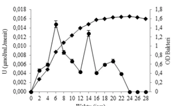 Gambar 2 Aktivitas enzim xilanase  (   ) dan pertumbuhan isolat  bakteri XJ20 (   ) dalam media cair xilan 0.5%
