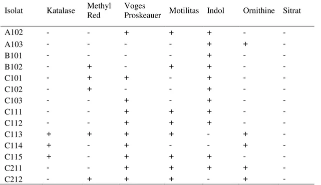 Tabel 4. Hasil Uji Biokimia Mikroorganisme termofilik Penghasil Xilanase  Isolat   Katalase   Methyl 