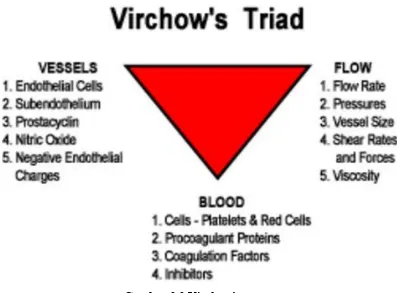 Gambar 2.2 Virchow’s Triad 
