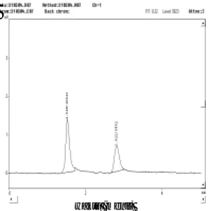 Gambar 4. Kromatogram meloxicam 200 ng/