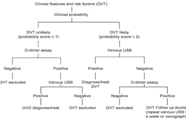Gambar 2.7. Algoritma Diagnosis DVT Dikutip dari: Kesieme et al. 2011. Deep vein thrombosis: a clinical review