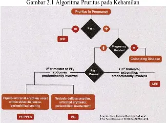 Gambar 2.1 Algoritma Pruritus pada Kehamilan 