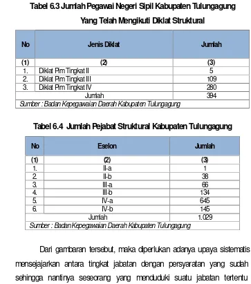 Tabel 6.3Jumlah Pegawai Negeri Sipil Kabupaten Tulungagung