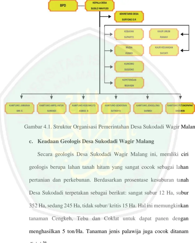 Gambar 4.1. Struktur Organisasi Pemerintahan Desa Sukodadi Wagir Malang  c.  Keadaan Geologis Desa Sukodadi Wagir Malang 