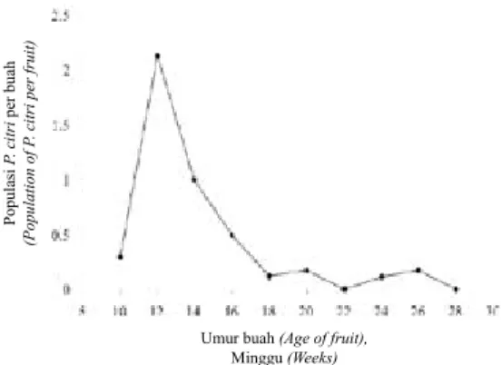 Gambar 5.  Fluktuasi  kandungan  senyawa  limonen  dan linalool pada  kulit  buah  jeruk  besar  Nambangan  umur 10- 28 minggu (Fluctuation  RI OLPRQHQH DQG OLQDORRO FRQWHQW LQ peel of Nambangan pummelo fruit  DW ZHHNV ROG) 