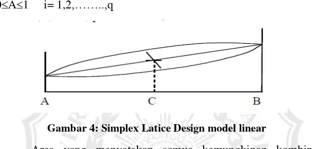 Gambar 4: Simplex Latice Design model linear 
