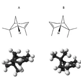Gambar 2.5   Stuktur -pinena, A: (R)-(+) -pinena dan B: (S)-(-) -pinena 