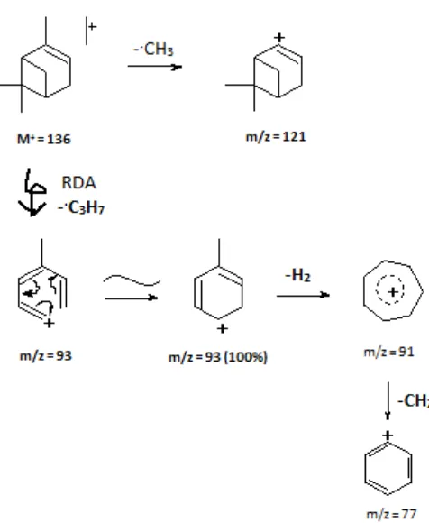 Gambar 2.7  Skema fragmentasi senyawa -pinena 