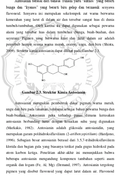 Gambar 2.3. Struktur Kimia Antosianin 