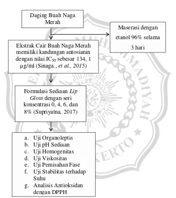 Gambar 2.7. Kerangka Konsep Penelitian 