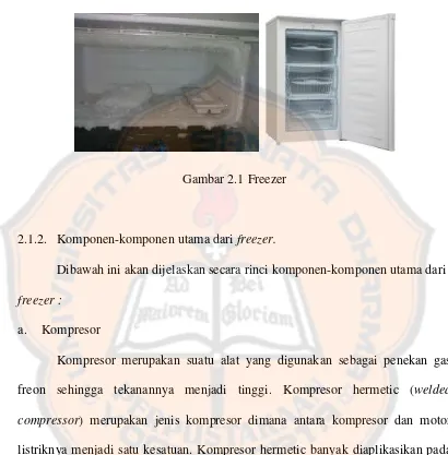 Gambar 2.1 Freezer 