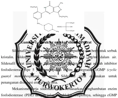 Gambar 1.  Struktur molekul sildenafil sitrat 