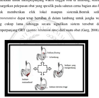 Gambar 1.Ilustrasi sistem penghantaran obat gastroretentive (Rajurkar et al., 2013). 