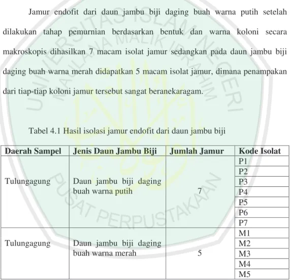 Tabel 4.1 Hasil isolasi jamur endofit dari daun jambu biji  