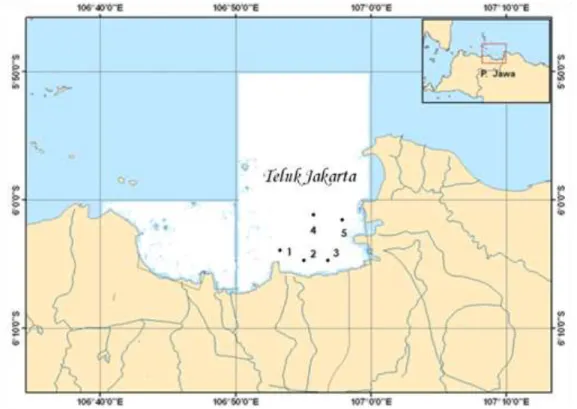 Gambar 1. Stasiun penelitian di Teluk Jakarta (St 1,2, 3, 4, 5: air dan sedimen, St 2: Kerang                     Hijau)