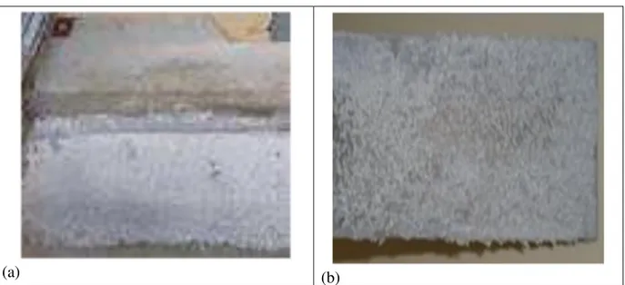 Gambar 5. Perbandingan pembentukan lapisan Al 2 O 3  pada elektrode anode; (a) hasil penelitian (b) hasil referensi  [20].